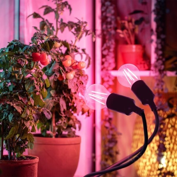 Гъвкава настолна лампа с клипс за растения PLANTY 2xE27/30W/230V черна