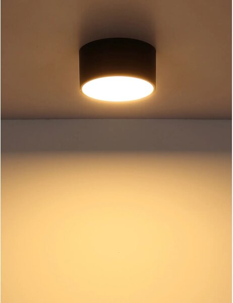 Globo 56964S - LED таванен плафон RAYMOND LED/12W/230V 3000K Ø 15 см черен