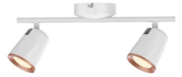 Rabalux 5046 - LED Прожектор, луна SOLANGE 2xLED/6W/230V