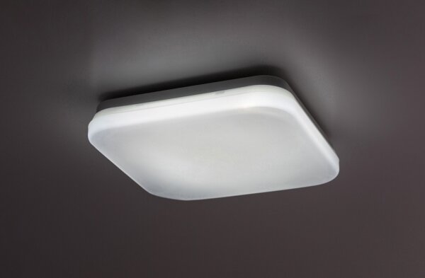 Rabalux 77134-LED Таванно осветително тяло LOWAR за баня LED/12W/230V IP44 3000/4000/6000K