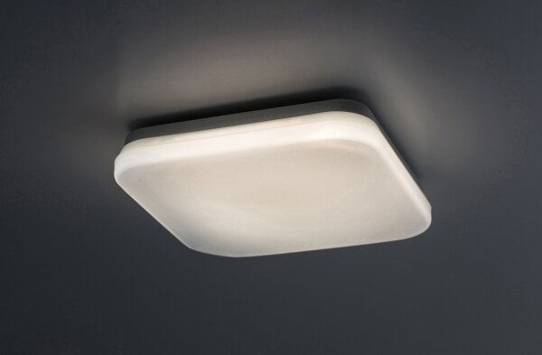 Rabalux 77134-LED Таванно осветително тяло LOWAR за баня LED/12W/230V IP44 3000/4000/6000K