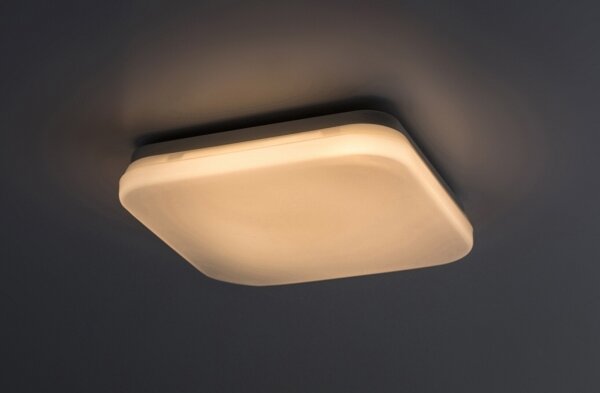 Rabalux 77134-LED Таванно осветително тяло LOWAR за баня LED/12W/230V IP44 3000/4000/6000K