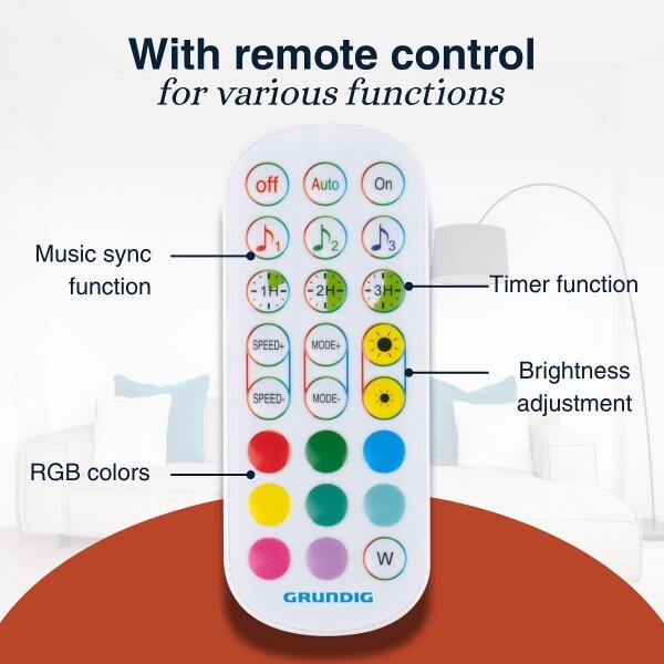 Grundig - LED RGBW димируема подова лампа LED/6W/230V + дистанционно управление