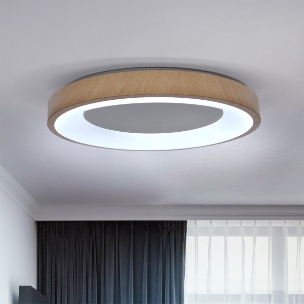 Brilagi - димируемо осветително тяло DORIA LED, 60W/230V, 3000–6500K, Ø 60 см + дистанционно управление