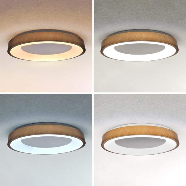 Brilagi - димируемо осветително тяло DORIA LED, 60W/230V, 3000–6500K, Ø 60 см + дистанционно управление
