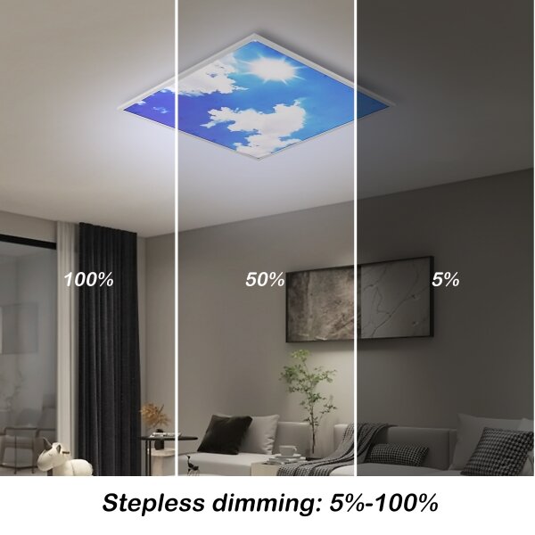 Brilagi-LED Димируемо осветително тяло SLIMFRAME SKY LED/58W/230V 60x60 см сребристо/синьо+дистанционно управление