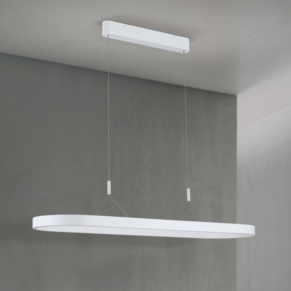 Orion - LED полилей на кабел CARRARA LED/80W/230V 2700/3000/4000K бял