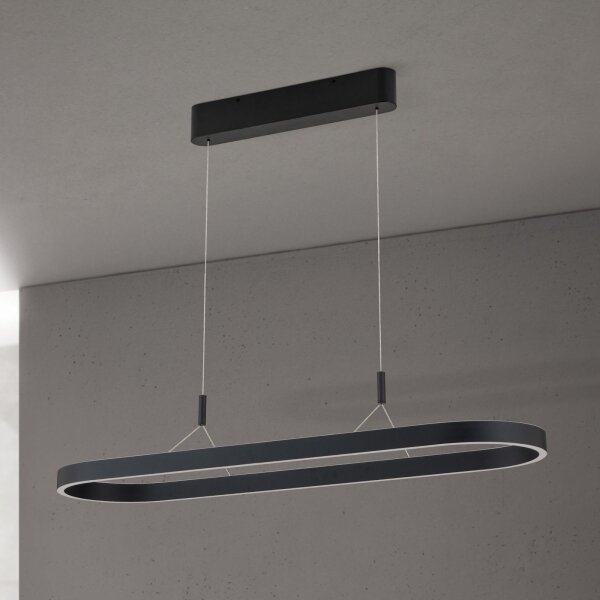 Orion - LED полилей на кабел CARRARA LED/80W/230V 2700/3000/4000K черен