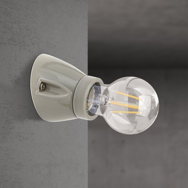 Orion - Стенно осветително тяло FROST 1xE27/60W/230V сиво