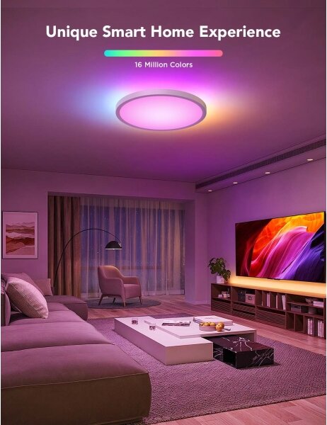 Govee - LED RGBICWW Димируемо таванно осветително тяло LED/29W/230V Ø 30 см матово Wi-Fi