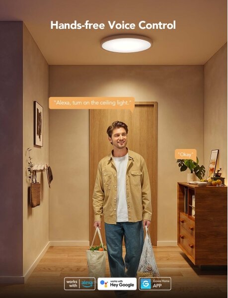 Govee - LED RGBICWW Димируемо таванно осветително тяло LED/29W/230V Ø 30 см матово Wi-Fi