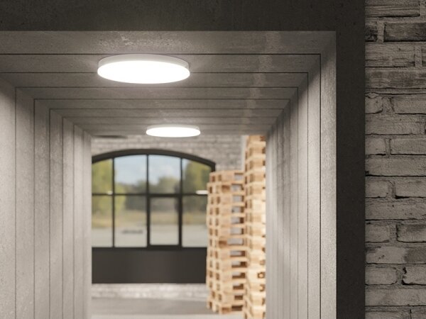 Димируемо LED таванно осветително тяло за баня LED/15W/230V pr. 30 cm IP54