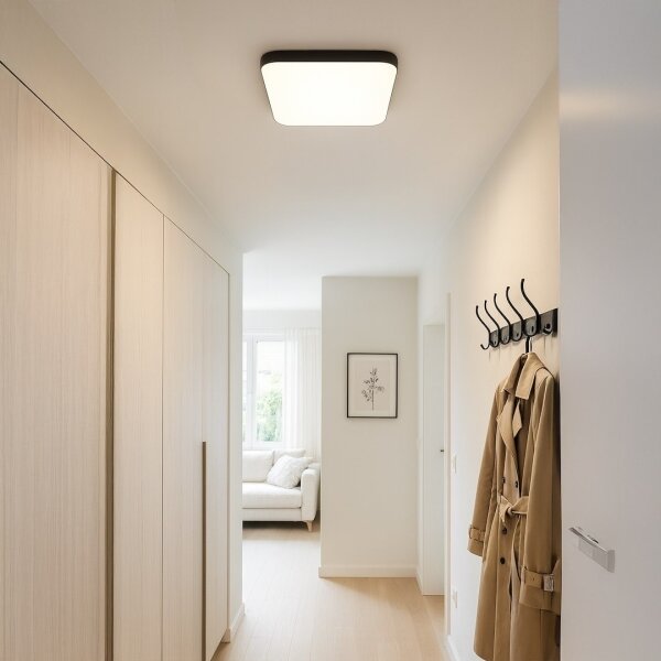 LED таванно осветително тяло NEMO LED/36W/230V 50x50 см черно