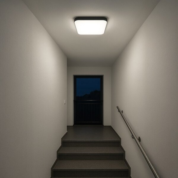 LED таванно осветително тяло NEMO LED/36W/230V 50x50 см черно