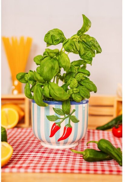 Керамично ръчно рисувано покритие за кашпа ø 12 cm Chilli – Sass & Belle