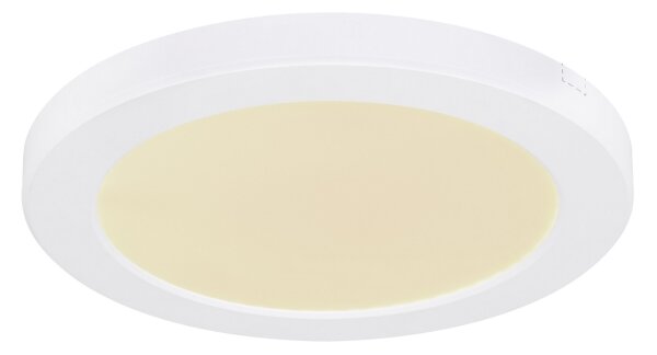 Globo 12379-18W - LED Плафониера LASSE LED/18W/230V