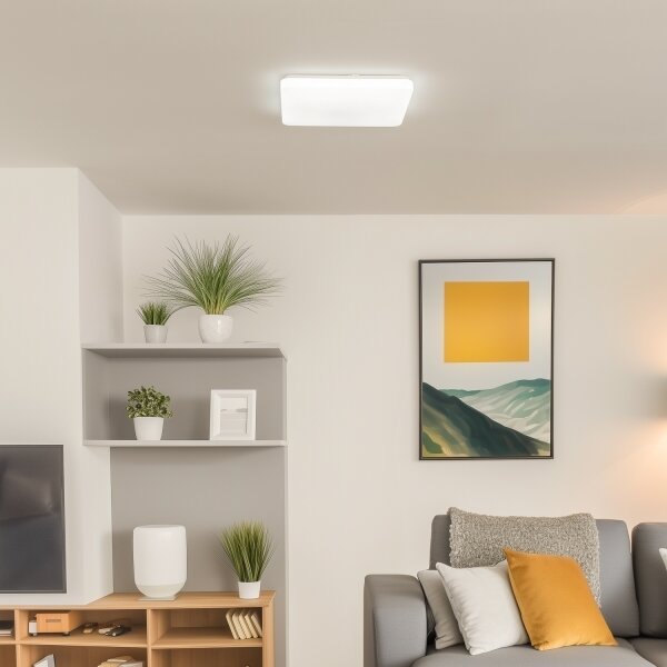 Brilagi - LED димируемо таванно осветително тяло OPAL LED/24W/230V 3000/4000/6500K+DO