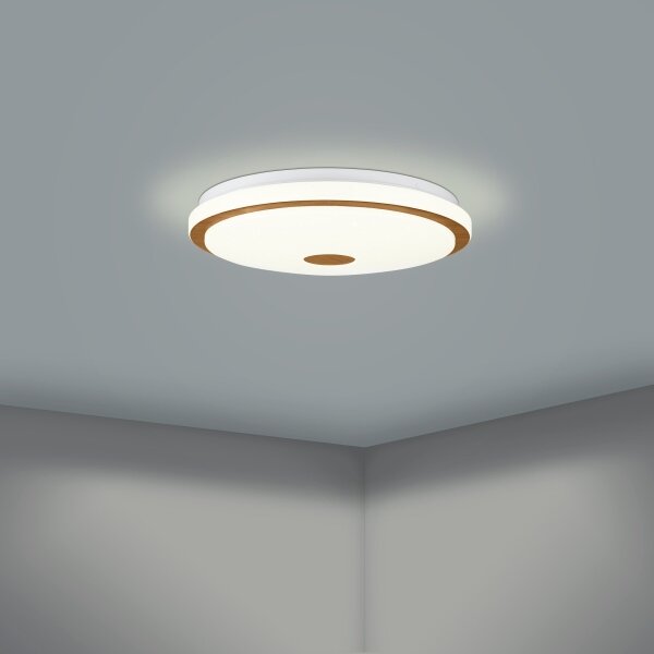 Eglo 900598 - LED Димируем плафон LANCIANO LED/24W/230V + д.у