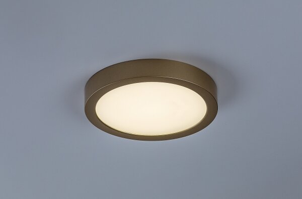 Rabalux 75078 - LED банен таванен плафон SHAUN PLUS 24W/230V диам. 22 см IP44 златист