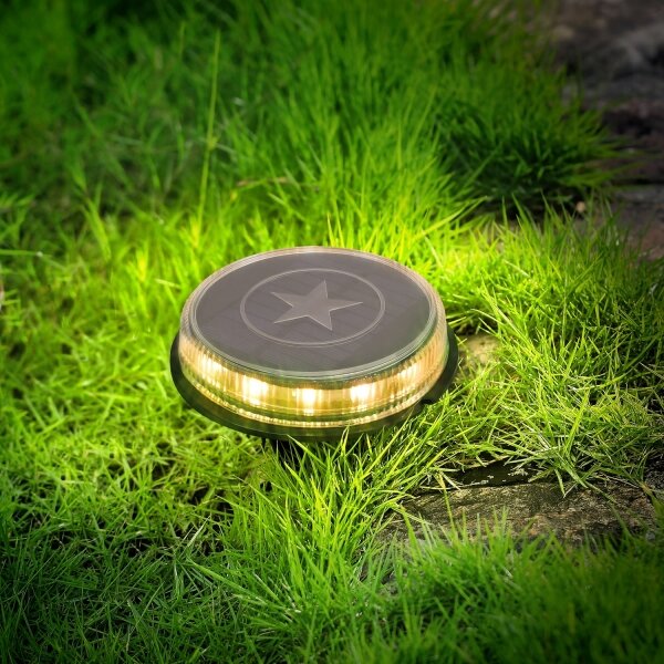 Aigostar - LED Соларна лампа LED/0,6W/5,5V 24,5 см 3200K IP66 черен