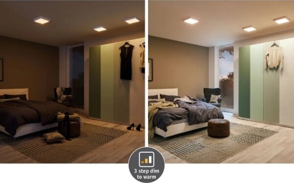 Paulmann 79794 - LED/13W Плафон CARPO 230V 2300/2500/3000K