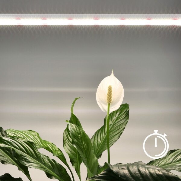 LED осветително за растения GROWLY LED/15W/230V, за подложка