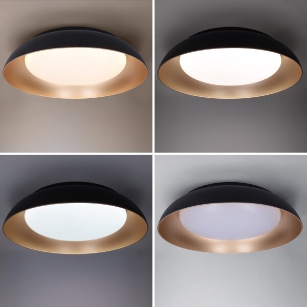 Brilagi-LED Димируемо осветително тяло ALVA LED/48W/230V 3000-6500K Ø 51 см черно+ДУ