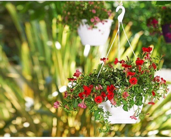 Пластмасова саксия за цветя ø 31 cm Algarve – Artevasi
