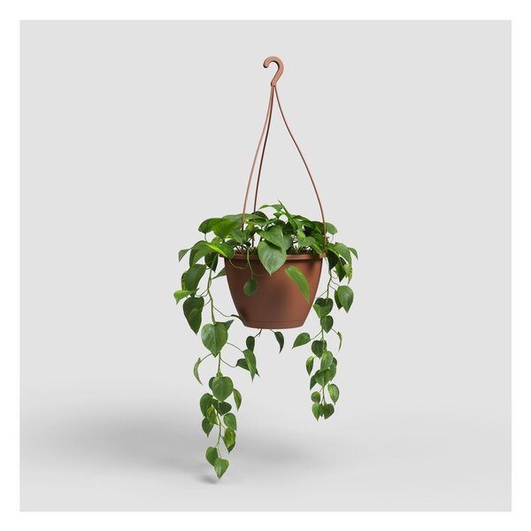 Пластмасова саксия за цветя ø 31 cm Algarve – Artevasi