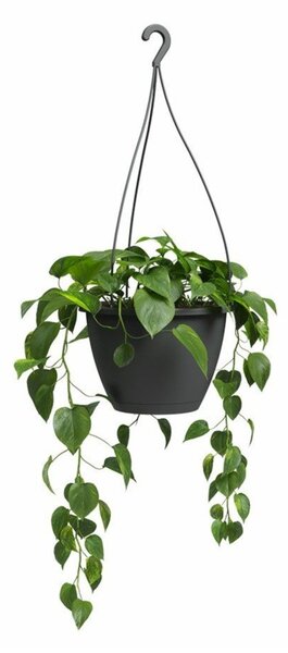 Пластмасова саксия за цветя ø 31 cm Algarve – Artevasi