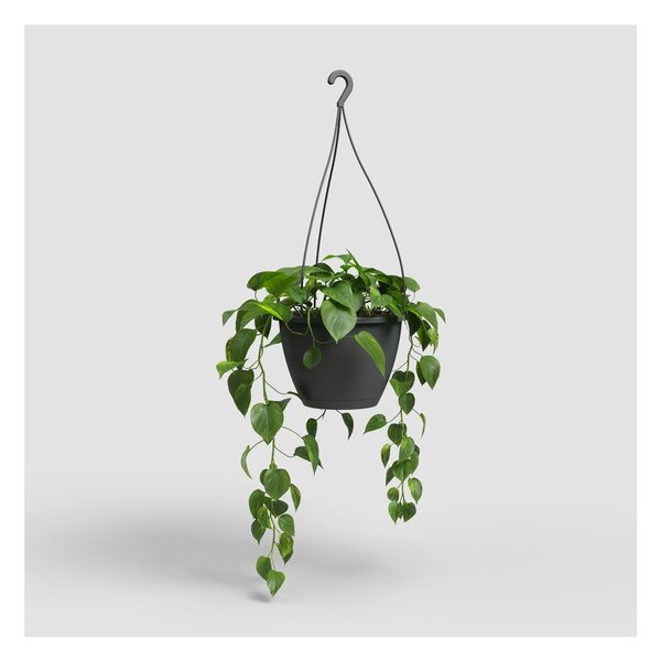 Пластмасова саксия за цветя ø 31 cm Algarve – Artevasi