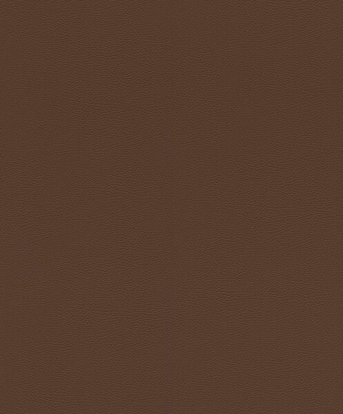 Влизолинов тапет за стена rasch african queen 752663