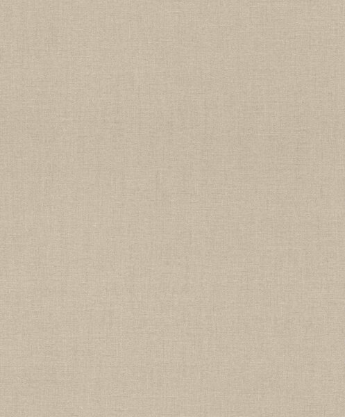 Влизолинов тапет за стена rasch florentine 484540