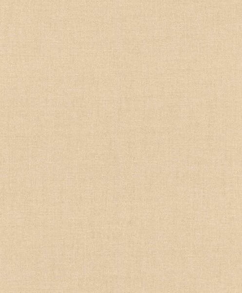Влизолинов тапет за стена rasch florentine 484779
