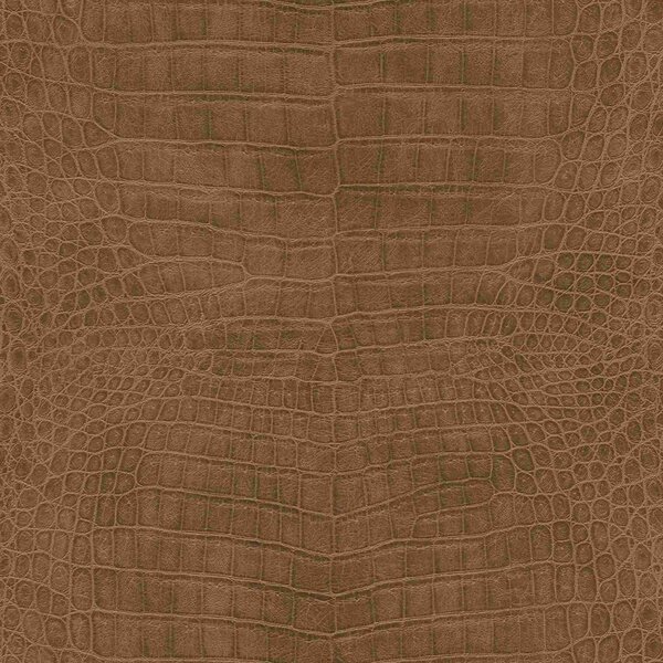 Влизолинов тапет за стена rasch african queen 751314