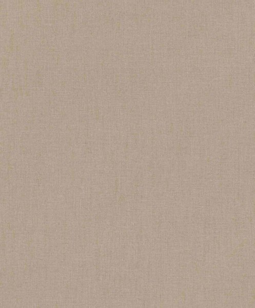 Влизолинов тапет за стена rasch florentine 484656