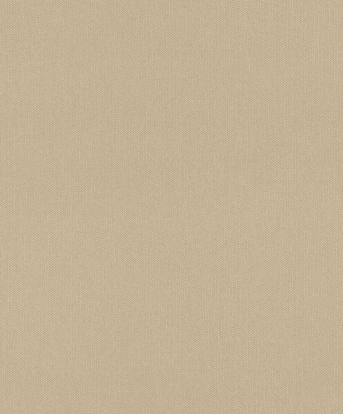 Влизолинов тапет за стена rasch deco style 312416