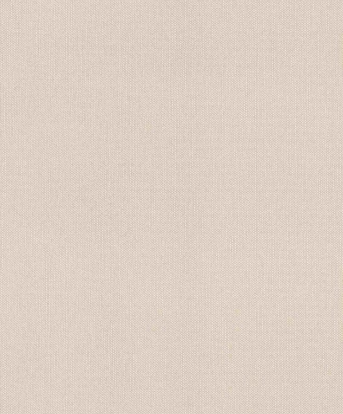 Влизолинов тапет за стена rasch deco style 312348