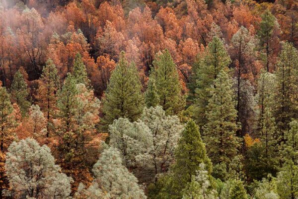 Флизелинов фототапет красива есенна гора 375 x 250 см
