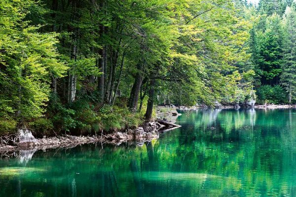 Флизелинов фототапет езеро и гора 375 x 250 см