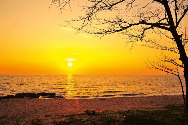 Флизелинов фототапет залез 375 x 250 см