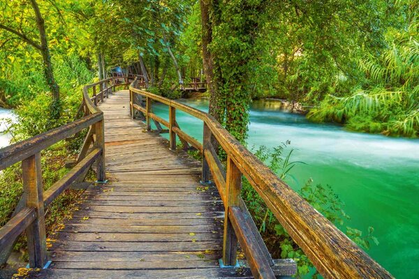 Флизелинов фототапет разходка по дървена пътека 375 x 250 см