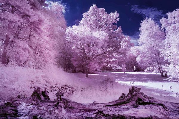 Флизелинов фототапет инфрачервена гора 375 x 250 см