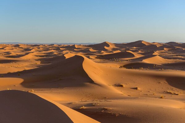 Флизелинов фототапет пустинята сахара 375 x 250 см