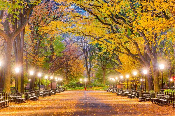 Флизелинов фототапет централен парк през есента 375 x 250 см