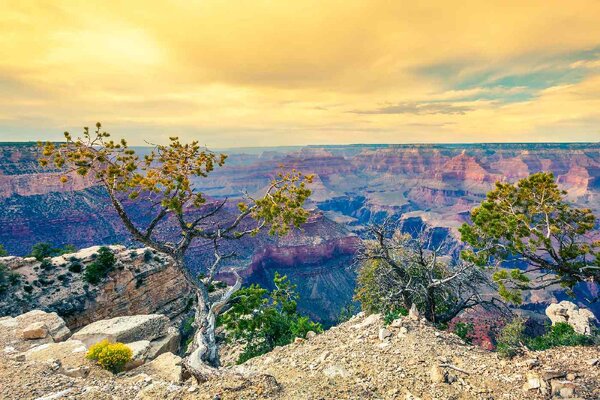 Флизелинов фототапет сутрин в гранд каньон 375 x 250 см
