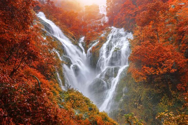 Флизелинов фототапет водопад ти ло су 375 x 250 см