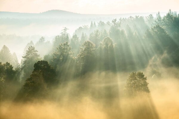 Флизелинов фототапет слънчеви лъчи 375 x 250 см