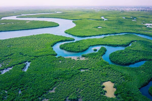 Флизелинов фототапет мангрова гора гора 375 x 250 см