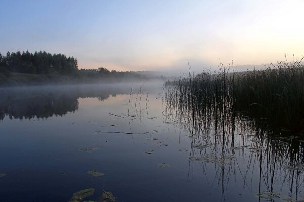 Флизелинов фототапет река преди зазоряване 375 x 250 см